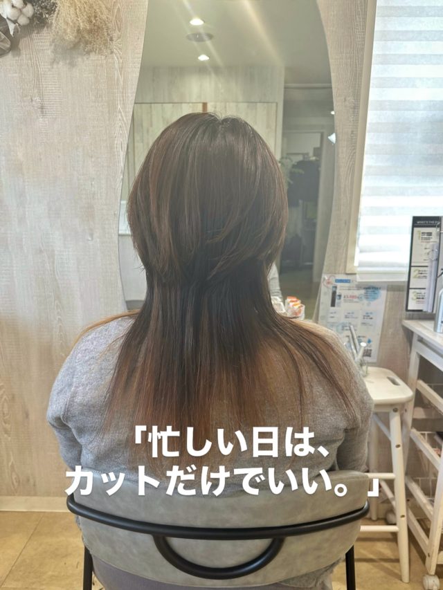 忙しくて、
カラーまで時間が取れない日もある。
　
　
　

そんな時は、

カットだけでも大丈夫。
　
　
　

形が整うだけで、　

後ろ姿はちゃんと変わる。
　
　
　

　
今回は

✔︎ ステップボーンカット
　
✔︎ ReFa VEENA 
　

　
時間をかけなくても、
　
印象は整えられる
　
　
　
angele
愛知県名古屋市中村区稲葉地本通1-38
アネックス朝日1A

@mayu_angele 
ご予約はプロフィールもしくはDMから
お願いします🙇